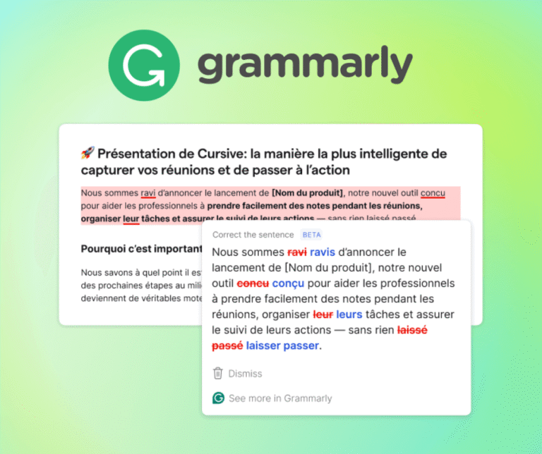 Grammarly en Français