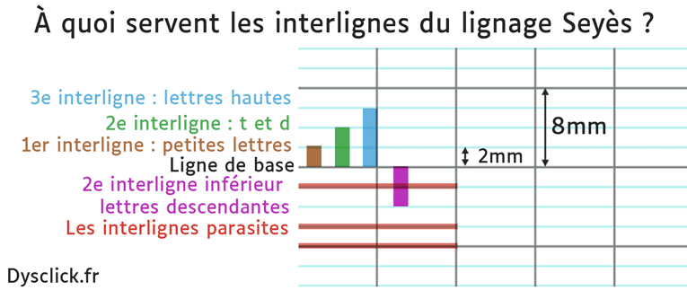 À-quoi-servent-les-interlignes-du-lignage-Seyès